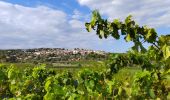 Trail Walking La Cadière-d'Azur - Dans les vignes autour de la Cadiere - Photo 2