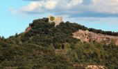 Percorso A piedi Gaiole in Chianti - Trekking tra i castelli 1 - Photo 4