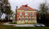 Tour Zu Fuß Neustadt O.S. - Szlak Lasów Królewskiego Miasta Prudnika - Photo 2