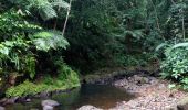 Tour Wandern Sainte-Rose - Cascade Naca - Photo 18