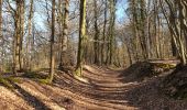 Trail Walking Fontaine-l'Évêque - Balade à l'abbaye d'Aulne  - Photo 2