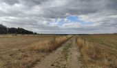 Randonnée Marche Mettet - Devant les bois, Sart Eustache, Biesme - Photo 6