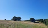 Trail Walking Meix-devant-Virton - rando gerouville 6-07-2023 - Photo 14