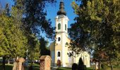 Tour Zu Fuß Kemend - Baranyai Zöldtúra - Photo 10