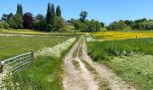 Tocht Stappen Maarkedal - Louise Marie 15 km - Photo 6