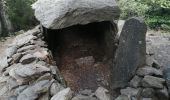 Tour Wandern Laroque-des-Albères - Dolmen - Photo 7