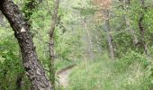 Randonnée Marche Puy-Saint-Martin - La Montagne de Ste-Euphémie - Puy-St-Martin - Manas - Photo 12