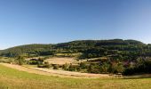 Trail On foot Litzendorf - Rund um den Ellerberg - Photo 7