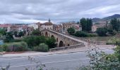 Tour Wandern Puente la Reina/Gares - 2023 05 estella - Photo 15