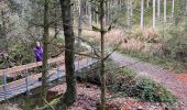 Trail Walking Malmedy - Ferme Libert - Photo 13