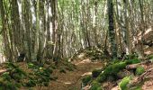 Trail Walking Saint-Ours - jume LaCoquille Louchadiere_T - Photo 4