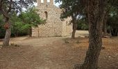 Tocht Stappen Argelès-sur-Mer - massane - Photo 4