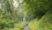 Tour Wandern Houyet - Hour - Photo 12