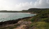 Excursión Senderismo Le Moule - Anse Petite Savane - Anse à l'Eau - Photo 5