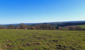 Tour Wandern Neupré - trek GR57 étape 2 : roche aux faucons (Esneux) . Comblain-au-Pont  - Photo 9