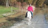 Trail Horseback riding Saint-Martin - blemerey et pneu  - Photo 2