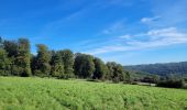 Tour Wandern Daverdisse - rando haut fays 26-09-2023 - Photo 4