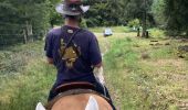 Trail Horseback riding Saint-Quirin - Camping st quirin belles roches abri Klein haut du bon Dieu halmoze lamperstein  - Photo 3