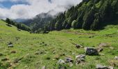 Randonnée Marche Ferrère - montagne d'Areng depuis la piste forestière après Férrères - Photo 2