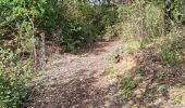 Tocht Stappen Chauffour-lès-Étréchy - Chauffour-lès-Etréchy - Coteau des Verts Galants - Photo 13