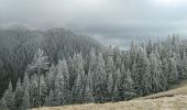 Trail On foot Unknown - Maraton Ciucaș - Photo 1