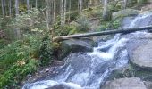 Randonnée Marche Gérardmer - Cascade /observatoire de Menelle  - Photo 7