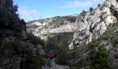 Tour Wandern Cadolive - cadolive par le vallon de figuiere - Photo 6