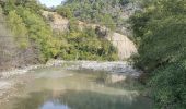 Trail Walking Le Broc - ESTERON - Photo 3