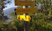 Tour Wandern Sisteron - 05 trou argent zel - Photo 2