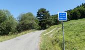 Randonnée Marche Châtillon-en-Diois - La Montagnette par le Pas de la Plane (Combau) - Photo 9