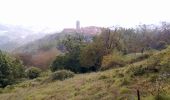 Trail On foot Villa Collemandina - Sentiero Airone 1 - Photo 5