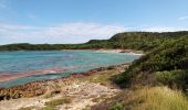 Excursión Senderismo Le Moule - Anse Petite Savane - Anse à l'Eau 2 - Photo 7