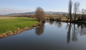 Excursión A pie Wychavon - Eckington Wharf Circular Walk - Photo 6