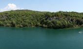 Trail On foot Saint-Laurent-du-Verdon - Coteau Chiron - Photo 4