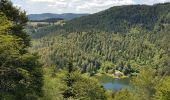 Tour Wandern Rimbach bei Masmünster - 2020-07-07 Les lac des Neuweiher et le lac des perches - Photo 13