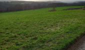 Tour Wandern Ferrières - balade des petits lapins - Photo 2