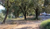 Excursión Bici de montaña Mouans-Sartoux - Parcours Clavari - Photo 1