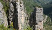 Tour Wandern Le Rozier - Le Rozier-corniche Méjean-17-05-22 - Photo 6