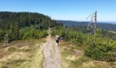 Randonnée Marche Sainte-Marie-aux-Mines - Col des Bagenelles et les deux Brézouard - Photo 16