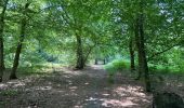 Tocht Stappen Péruwelz - Bonsecours 16 km - Photo 2