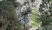 Excursión Senderismo Marsella - Marseille-Callelongue : Cols de la Galinette et de la Selle-Grand Malvallon-Calanques Marseille Veyre et de la Mounine - Photo 4