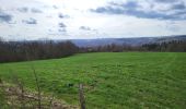 Randonnée Marche La Roche-en-Ardenne - Samree 190324 - Photo 15