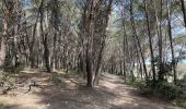 Trail Walking Istres - Martigues entre les étangs de Citis et Lavalduc - Photo 1