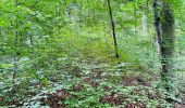 Trail Walking Orrouy - clone 41_2952279 - Photo 4