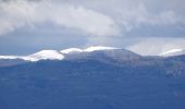 Randonnée Marche Chappes - Chappes-Chavaroux - Photo 7