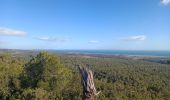 Excursión Marcha nórdica Gruissan - Le massif de la Clape Gruissan - Photo 13