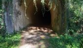 Trail Walking Roybon - Dionay - Photo 11