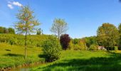 Randonnée Marche Wanze - Balade de Moha à Huccorgne - Photo 11