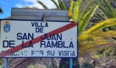 Tour Wandern Los Realejos - San Juan de la Rambla - Photo 1