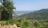 Tour Wandern Sant Ferriol - besaliu 190724 - Photo 9